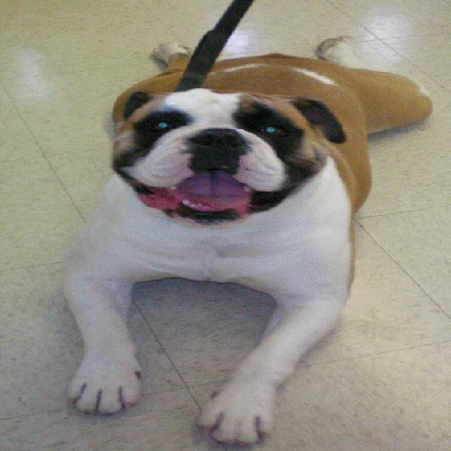 "Brutus" Bell