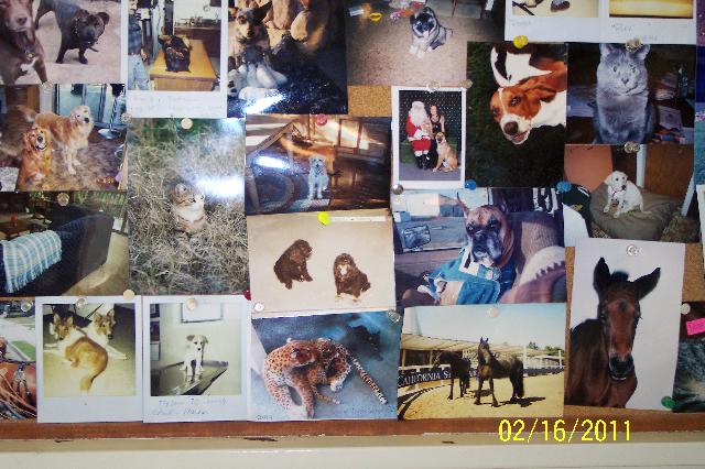 Wall Photos III