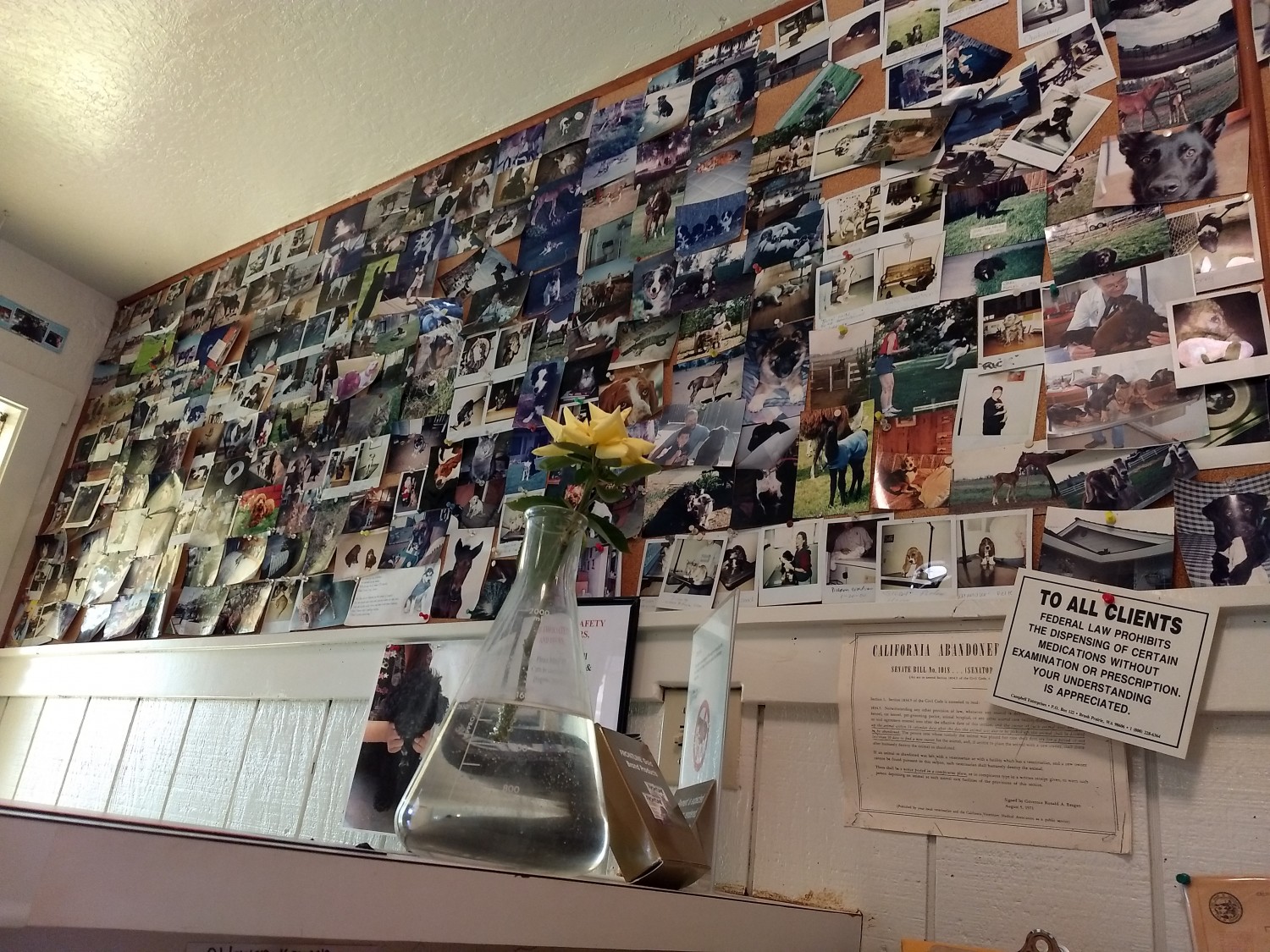 Home Country Veterinary Hospital Elk Grove, CA